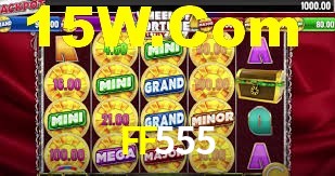 Premium Interface FF555