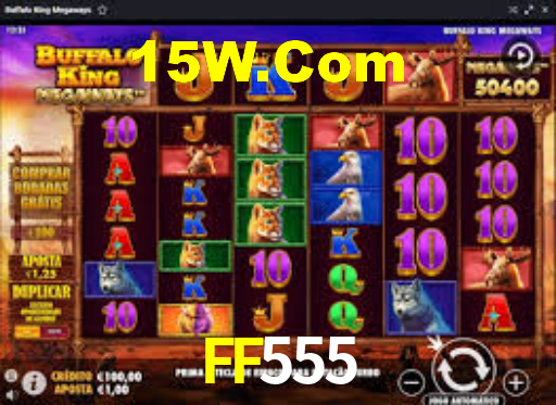 FF555 App Interface